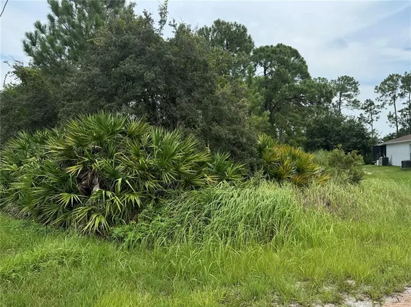 1238 Apopka Ln #50, Kissimmee, FL 34759