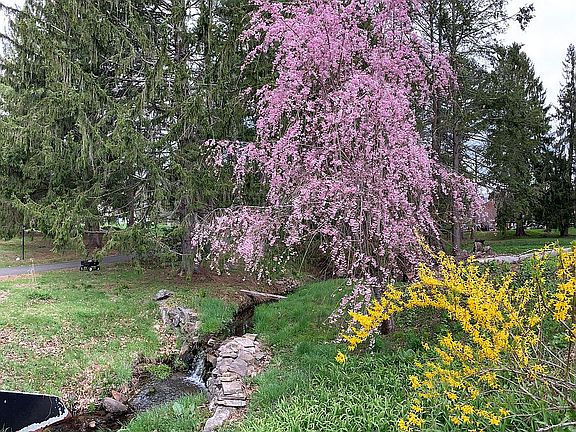 Waterfall by the driveway 