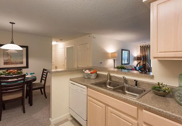 Kitchen Open to Living Space