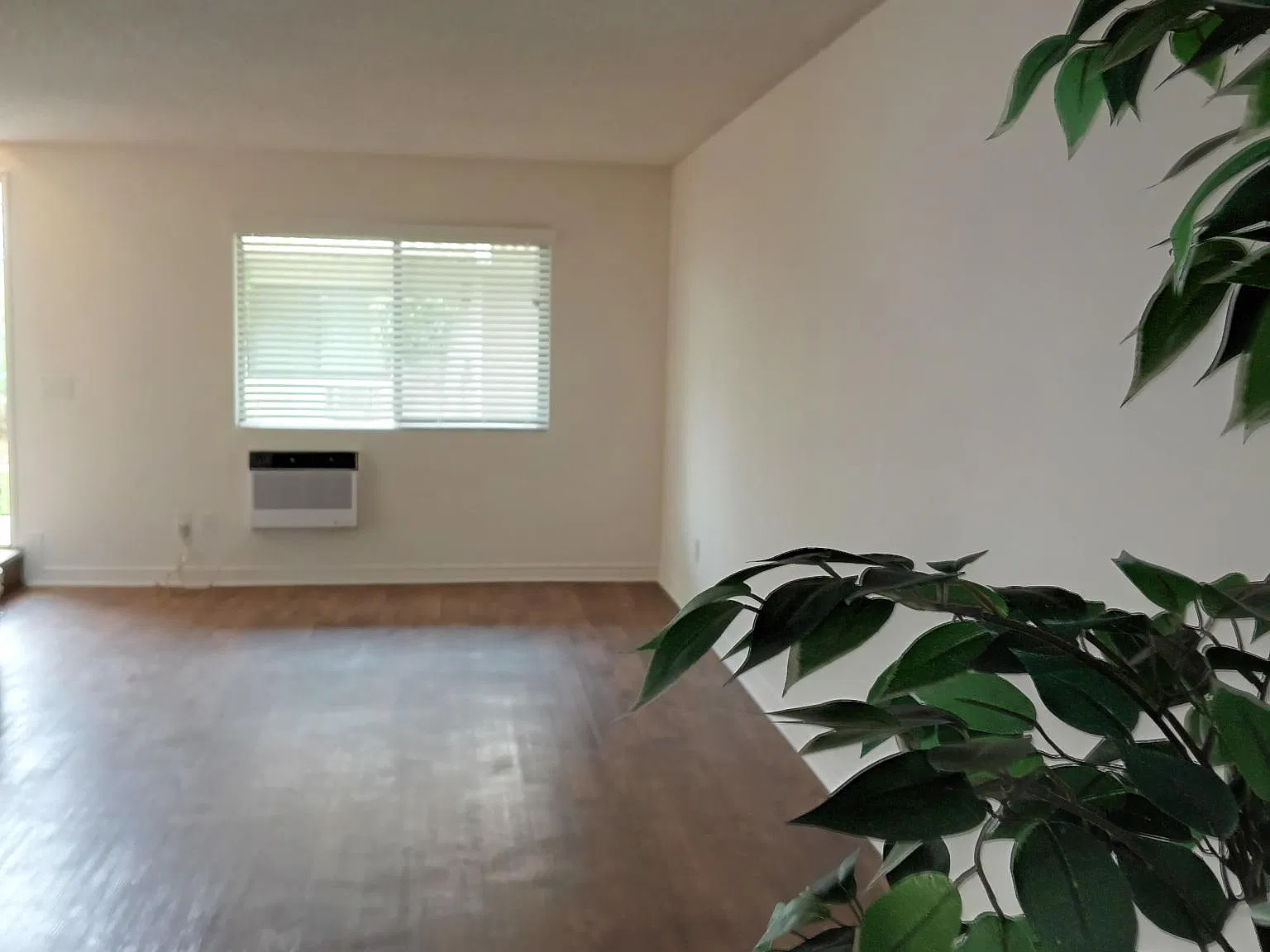 Coral Pines Apartments — Photo 4
