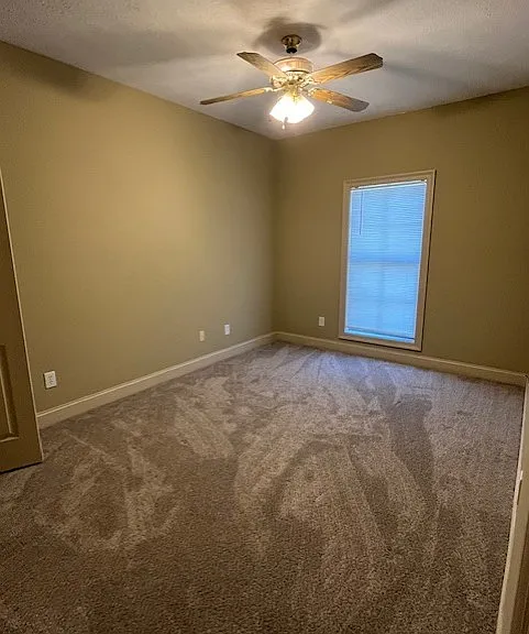 Back bedroom