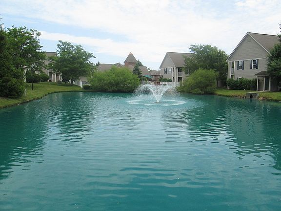 Fish in one of our two ponds