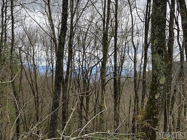 2nd image of TBD Gobbler Knob Road