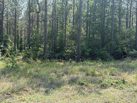 5th image of LOT R12357 89 Private Rd