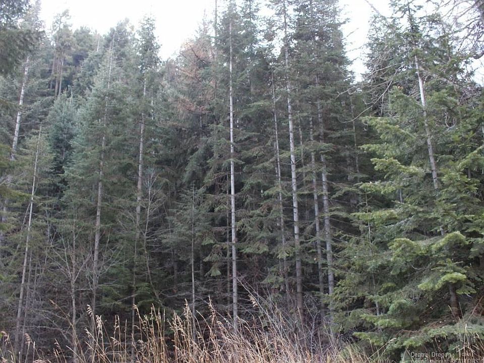 1st image of 0 Pinecreek Rd