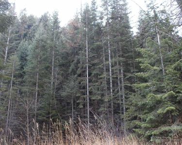 0 Pinecreek Rd, Baker City, OR, 97814