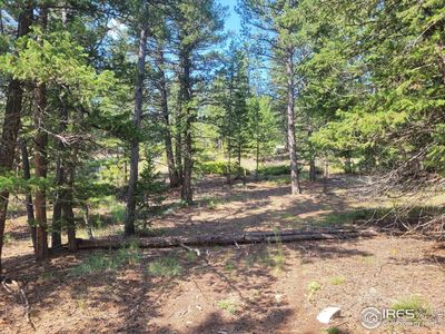 700 W Fox Acres Dr, Red Feather Lakes, CO, 80545