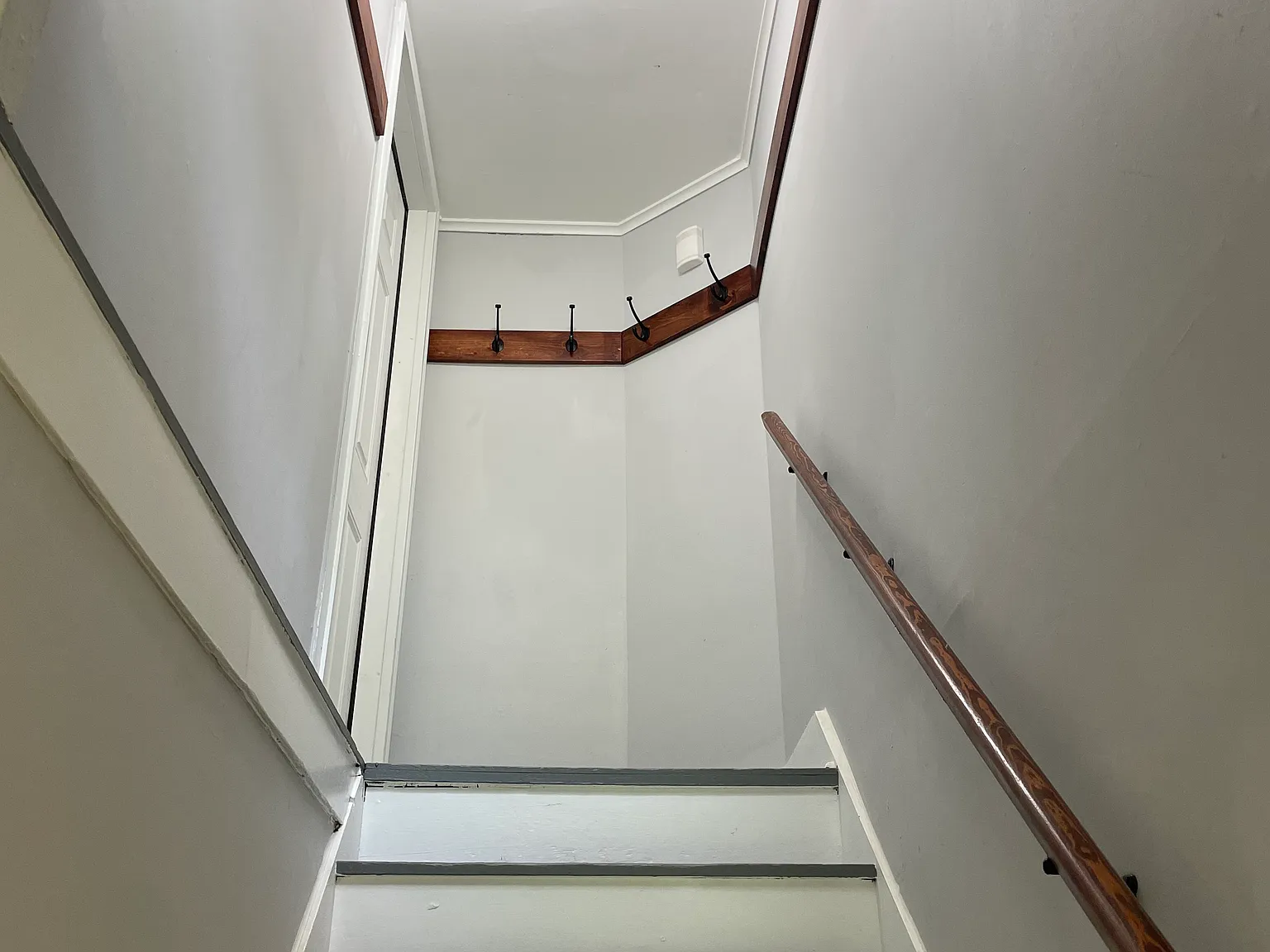 1 bed, 502 sqft, $1,100 — Photo 3