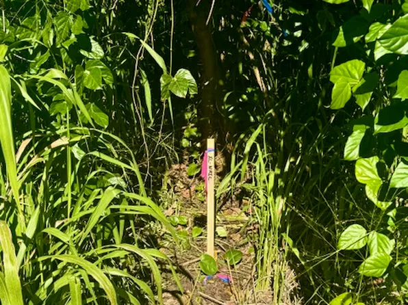1501 Oio St Lot 1501, Pahoa, HI 96778
