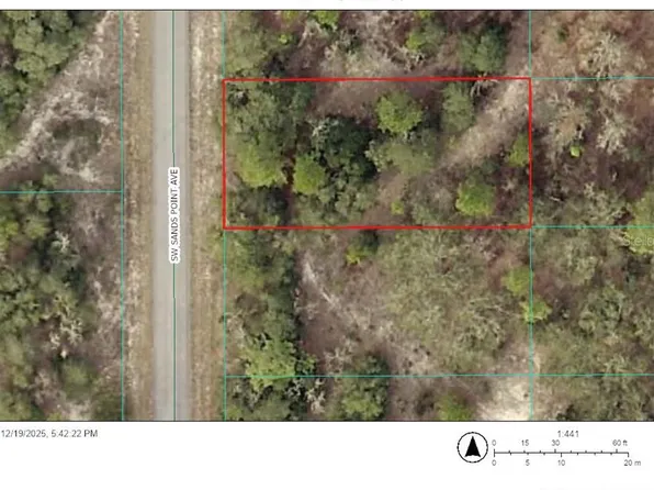 SW Sands Point Ave Lot 53, Dunnellon, FL 34431