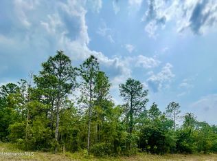 0 Glossy Ibis Rd, Brooksville, FL 34614