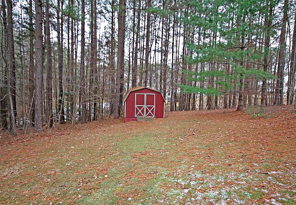 Large backyard and shed