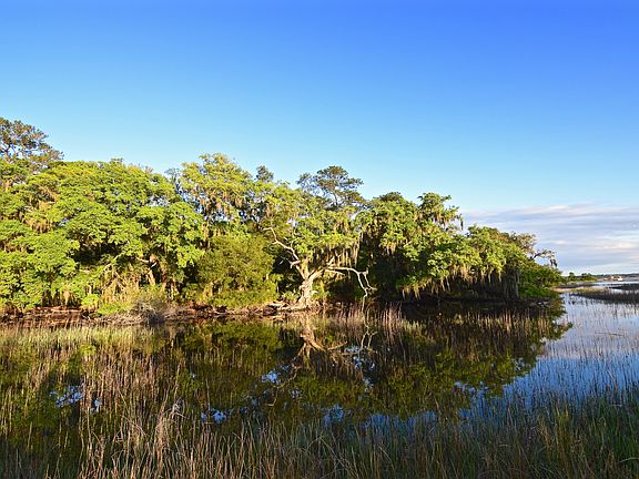 Afternoon high tide view 