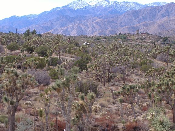 San Gorgonio