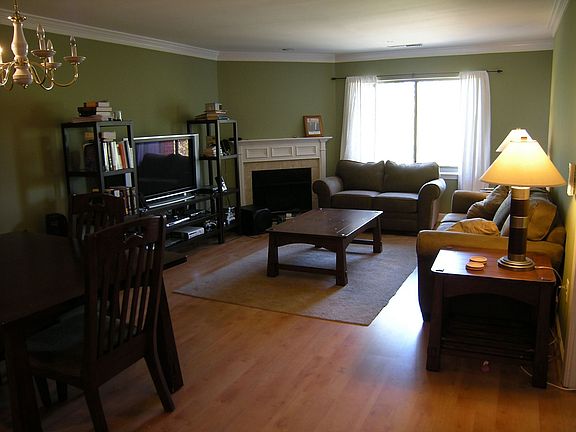 Living Room - Fireplace