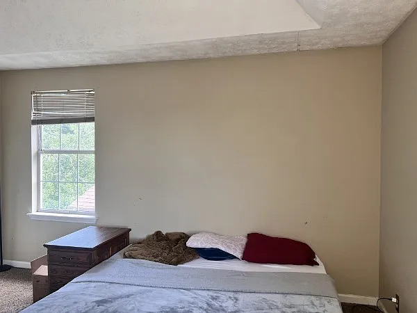 100 Ashley Cv — Photo 5