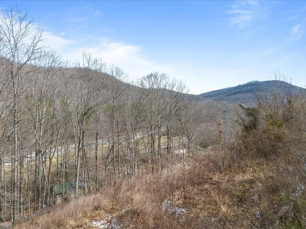 Straight Fork Rd, Pioneer, TN 37847