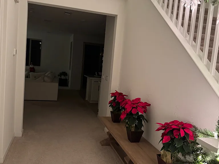 775 Augusta Dr #6 — Photo 12