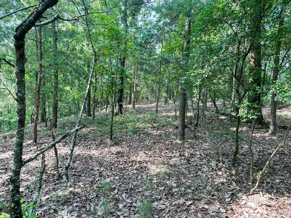 0 County Road 365, Leesburg, AL 35983