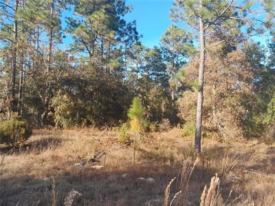 NE 10th St LOT 8, Williston, FL, 32696