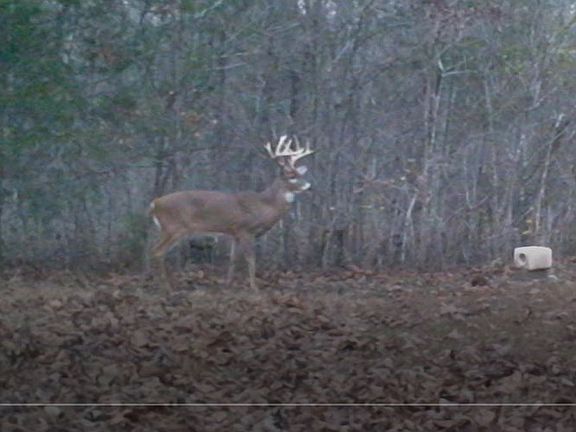 2nd image of 10569 Forest Ln