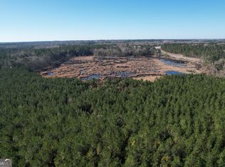 0 Burtons Ferry Hwy, Sylvania, GA 30467