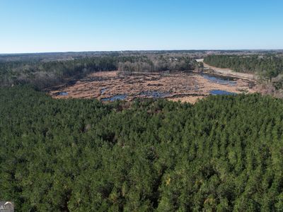 0 Burtons Ferry Hwy, Sylvania, GA, 30467