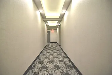 Rented by Bold New York