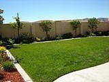 Large Backyard