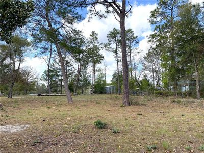 0 NE 142nd Ct #8, Williston, FL, 32696