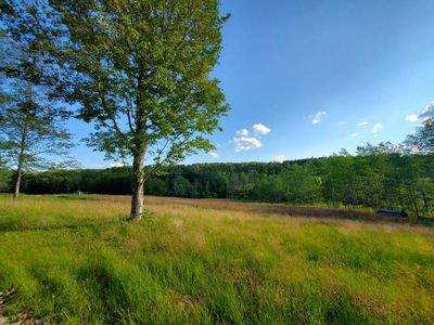0 Griffin Rd, Campbell, NY, 14821