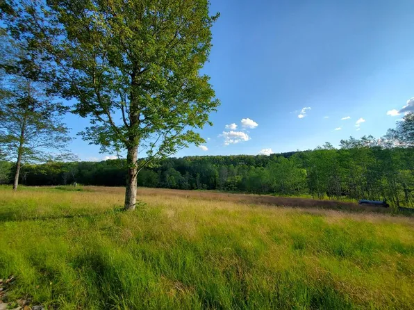 0 Griffin Rd, Campbell, NY 14821