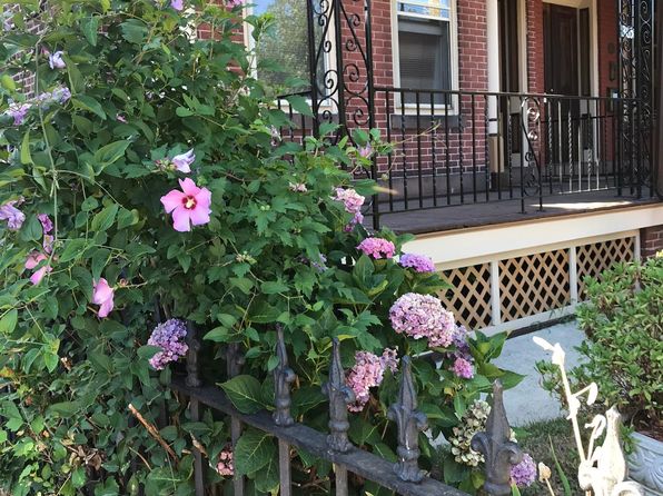 365 Hamilton Ave