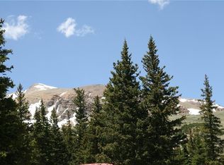 152 Nugget Ln, Alma, CO 80420