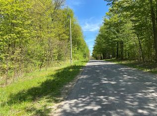 110 E Stone Rd, Mexico, NY 13114