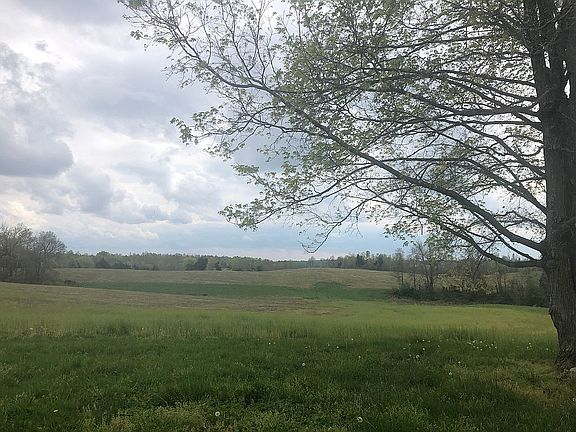 view from back of home