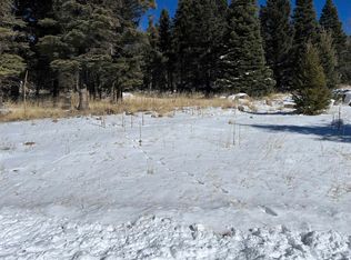 El Camino Real LOT 1386, Angel Fire, NM 87710