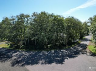428 Lake View Loop NE, Ocean Shores, WA 98569