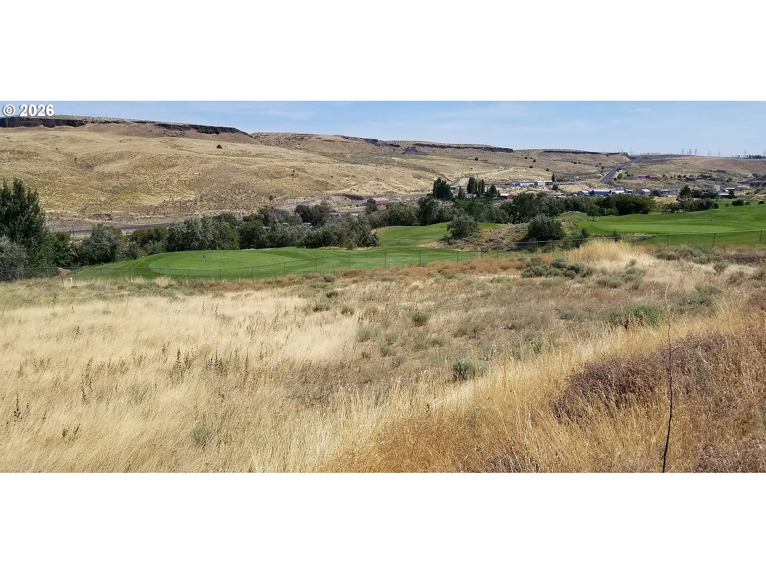 1225 Fairway Loop photo 1