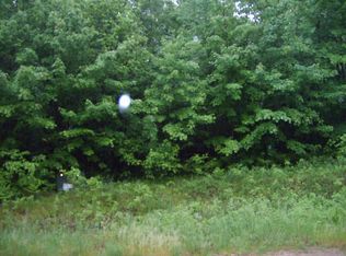 0 W Blue Rd #8, Lake City, MI 49651