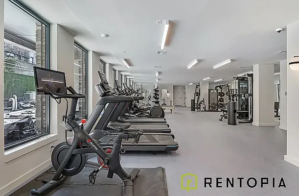 Rented by Rentopia | media 51