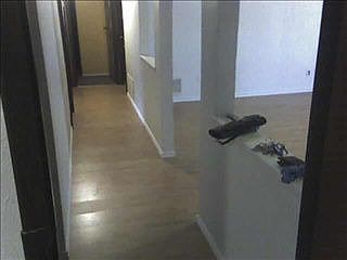 5th image of 4709 Tealwood Cir