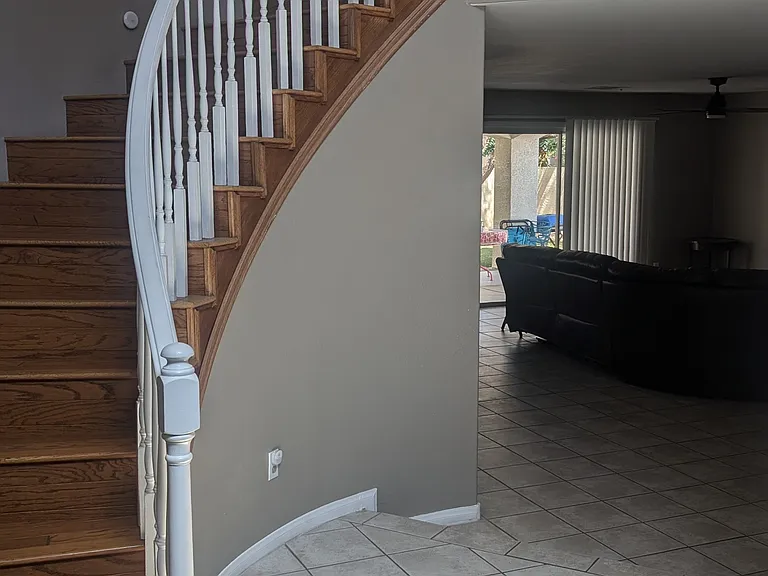 9671 Wood Fern St — Photo 6