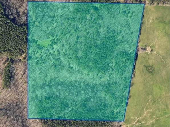 County Road 560, Moulton, AL 35650