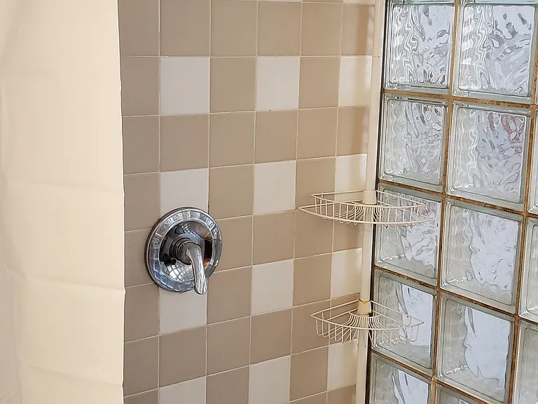 Basement Bath shower