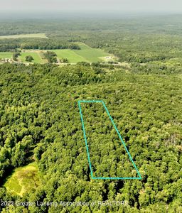 Vl E Moorestown Rd, Lake City, MI, 49651