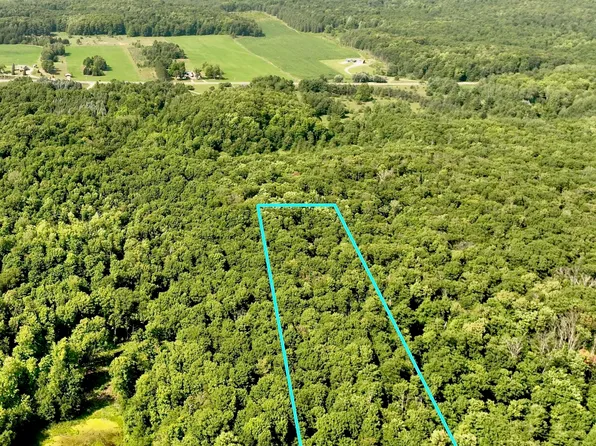 Vl E Moorestown Rd, Lake City, MI 49651