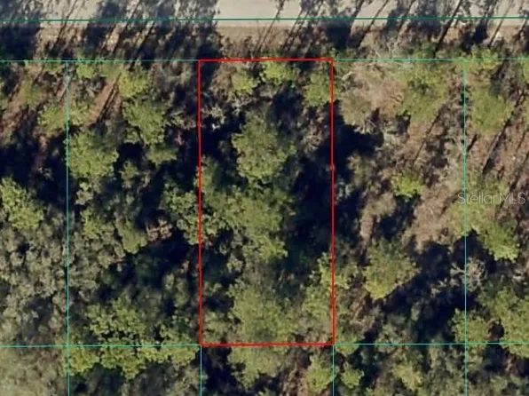 NW Banyan Ln Lot 8, Dunnellon, FL 34431