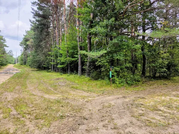 6573 Williams Trl, Grayling, MI 49738