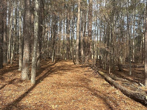 4th image of 5/AC Busbin Rd